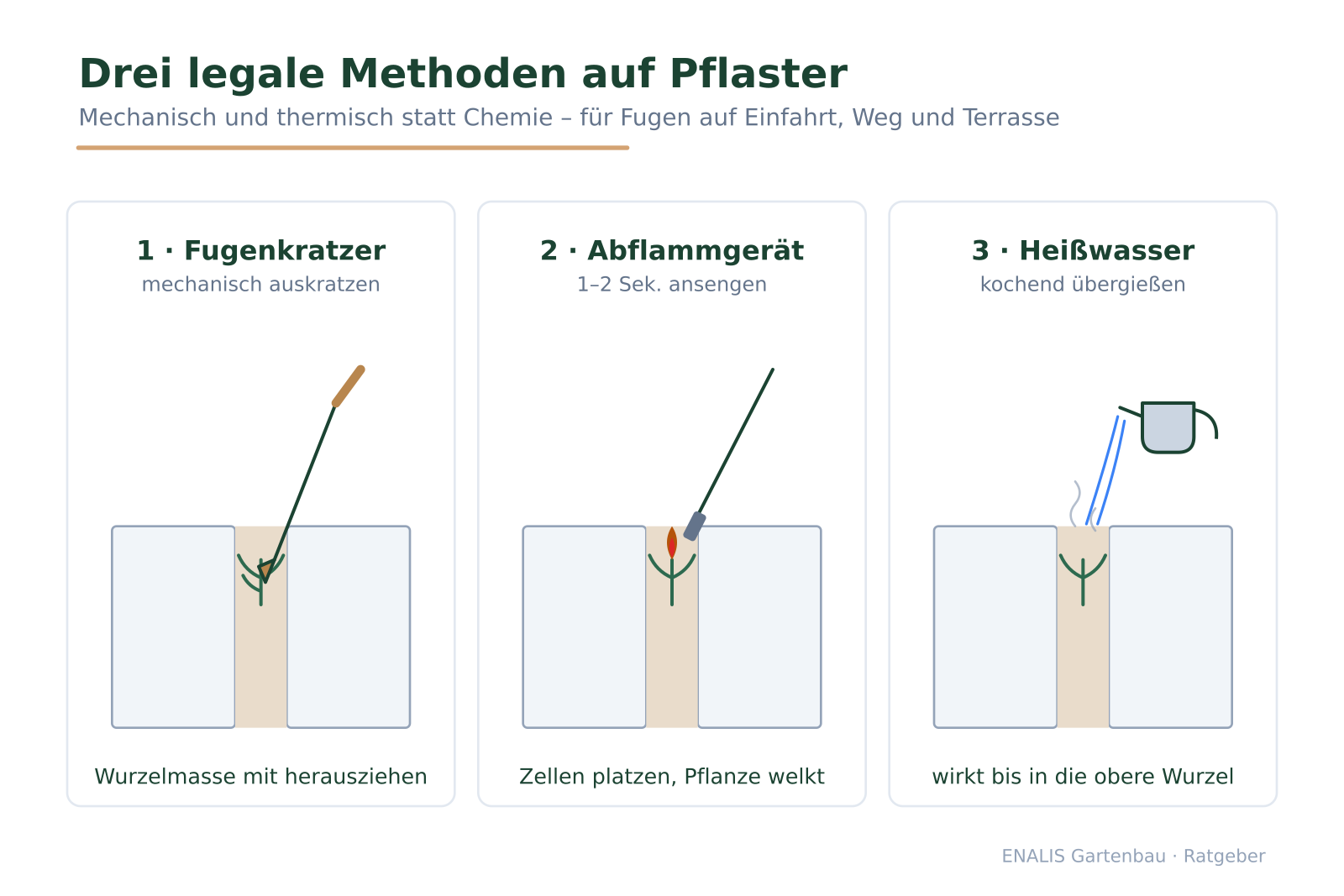 Drei Panels zeigen Fugenkratzer, Abflammgerät und Heißwasser jeweils an einer Pflasterfuge mit Unkraut.